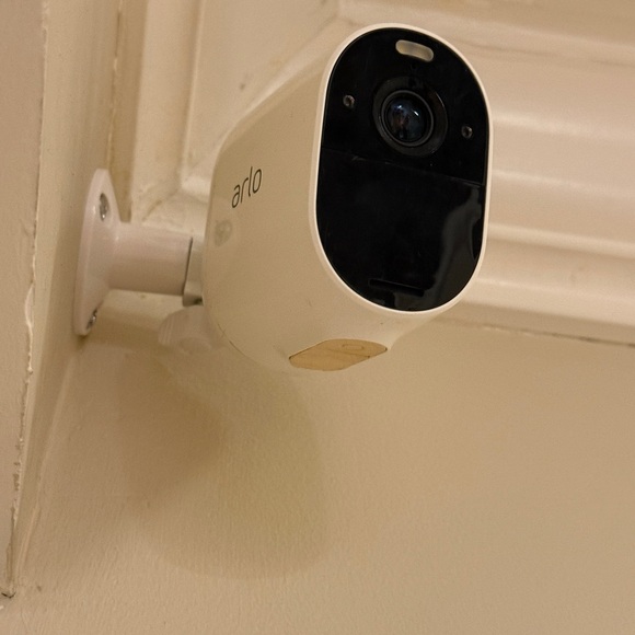 Arlo - Picture 2 of 6